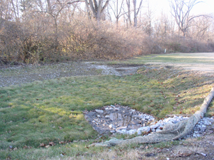 The location of our rain garden.