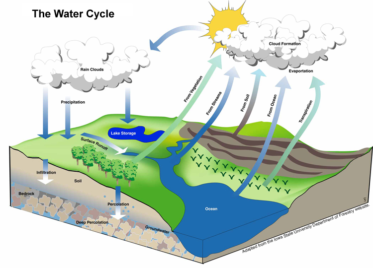 condensation water cycle. affect on the water cycle.