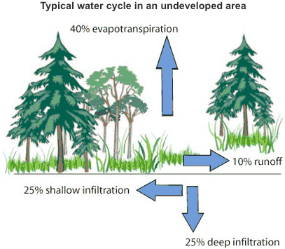 evaporation of water. Evaporation - Water from